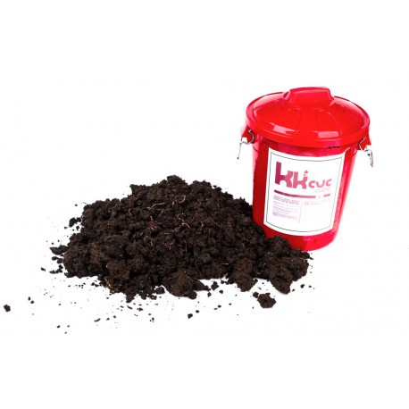 Lombriz roja californiana