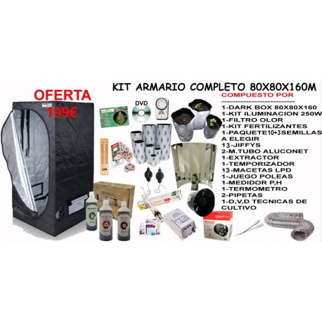 Kit Armario 80X80X160 CON 250W