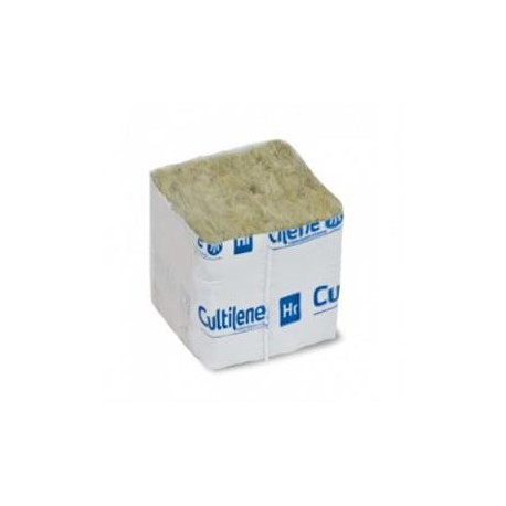 Taco esquejes con forro 4x4x4 cm