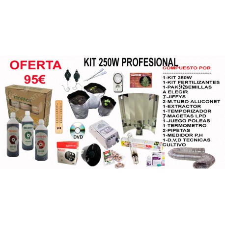 Kit 250w Profesional