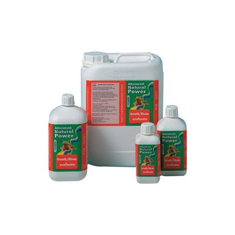 Growth/Bloom Excellerator