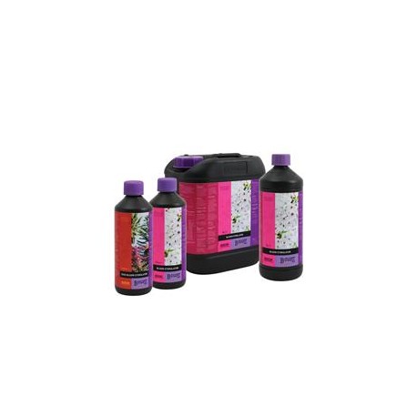 Estimulador de la floración