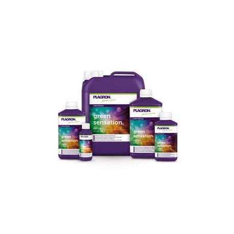 Green Sensation Plagron