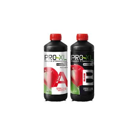 Bloom A&B Pro-XL