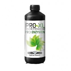 Pro-Enzymen